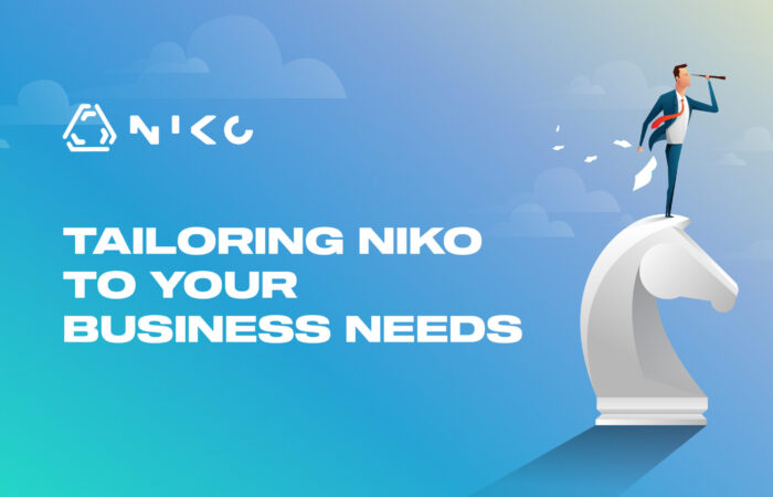 Tailoring NIKO to your business needs